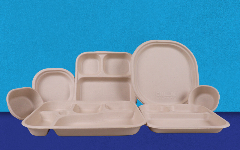 Sugarcane Bagasse