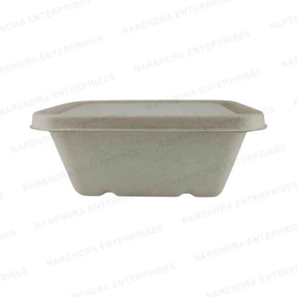 1000ml bagasse global rectangle container with lid a