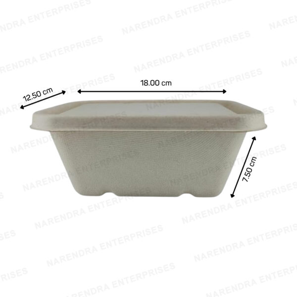 1000ml bagasse global rectangle container with lid d