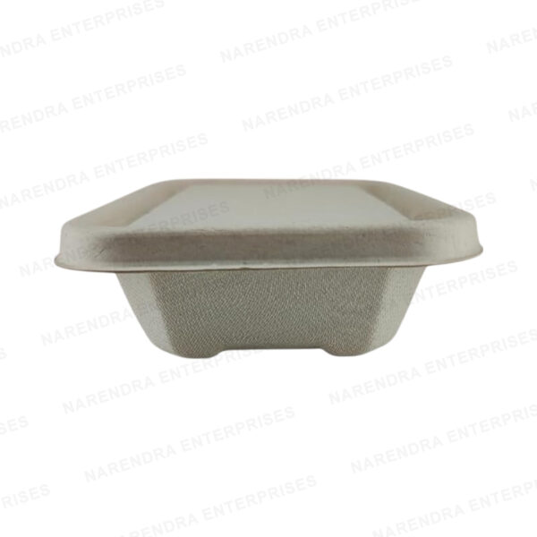 550ml 2cp bagasse global rectangle container with lid b