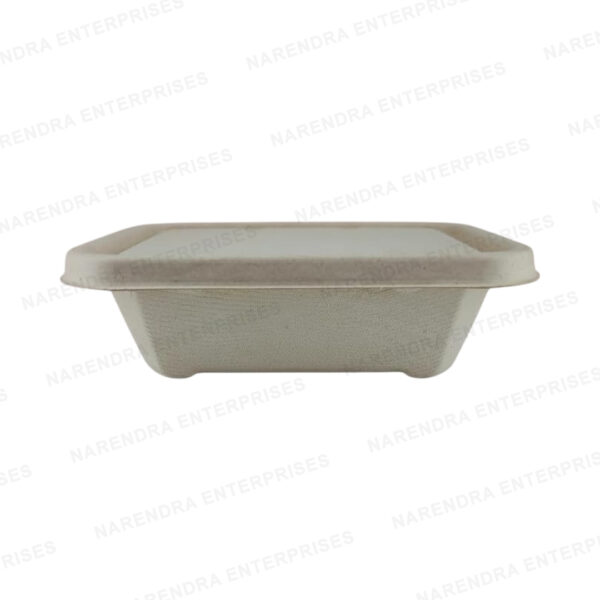 650ml bagasse global rectangle container with lid b