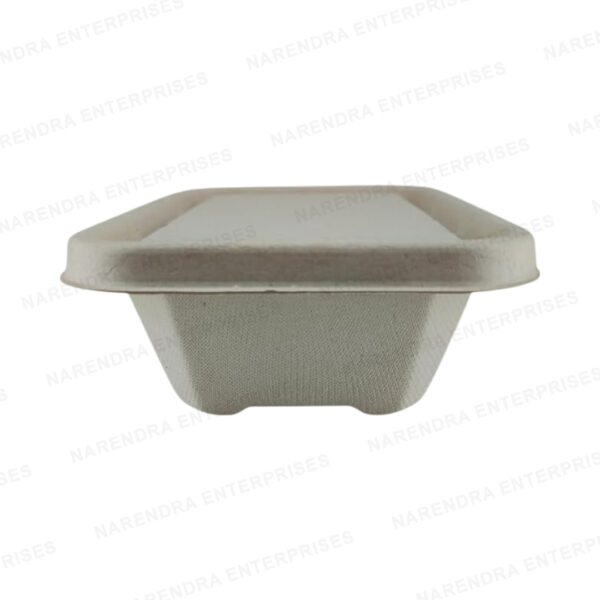 650ml bagasse global rectangle container with lid c